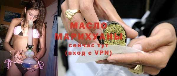 индика Володарск