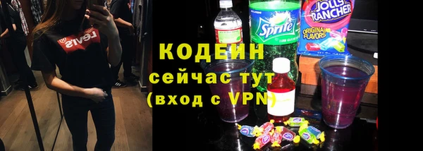 индика Володарск