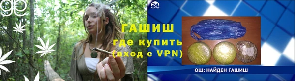 индика Володарск