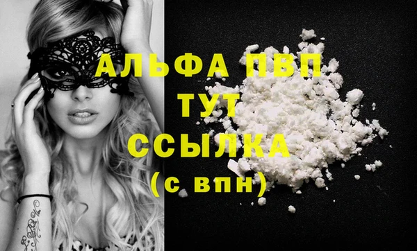 индика Володарск