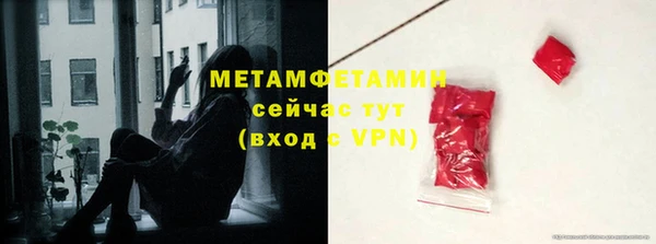 индика Володарск