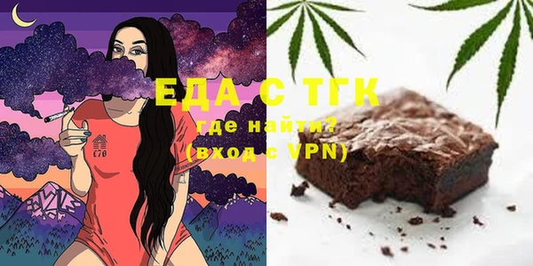 индика Володарск