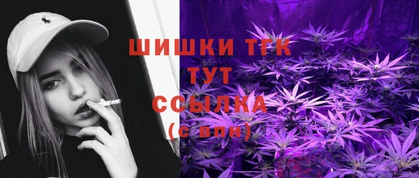 индика Володарск