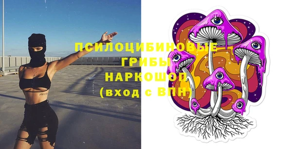 mdpv Волоколамск