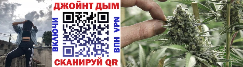 Шишки марихуана OG Kush  Купить  Гдов 
